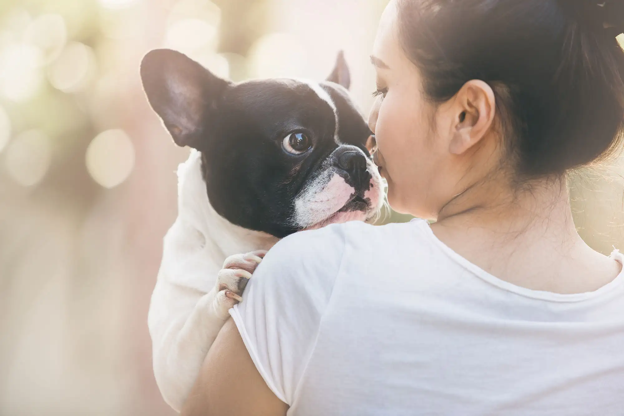 Woman cuddling a cute French Bulldog
